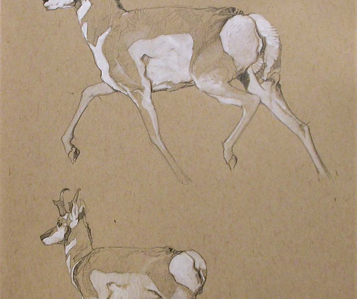 Gallery of Drawing by John Perry Baumlin- American