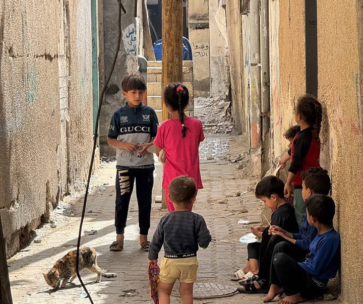 Gallery of Photography by Fadi Almeghari - GAZA