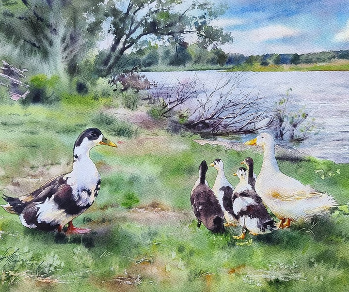 Gallery of Water color Painting by Luybov Titova-Russia