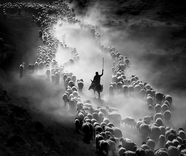 Gallery of Photography by F. Dilek Yurdakul - Turkey