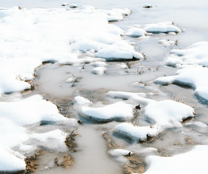 Gallery of Photography by Abbey Bratcher Parish - USA