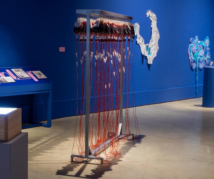 Gallery of Modern Art by  David Jarrin (Davartis) - Ecuador
