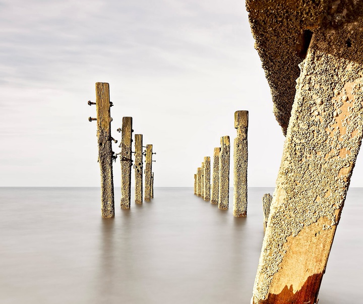 Gallery of Photography by Emma Steele
