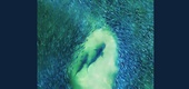 Gallery of Photography by Joanna Steidle - USA