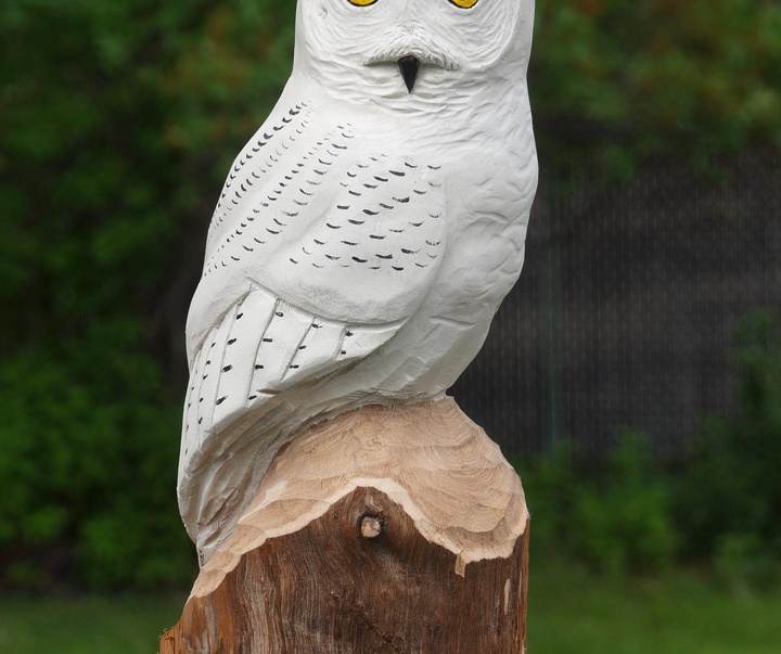 Gallery of Sculpture by Lucas Kost - Canada