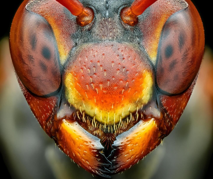 Gallery of Photography by Ben Salb - USA
