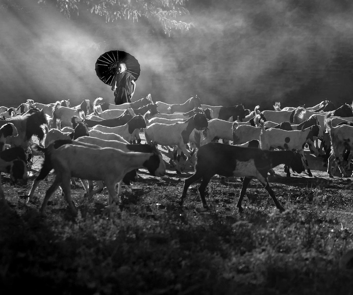 Gallery of the best Photos by Rudy Oei-Indonesia