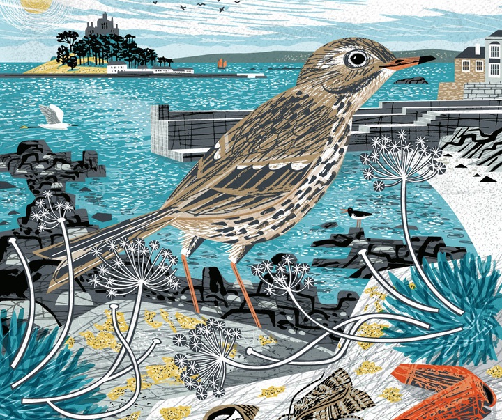 Gallery of Illustration by Matt Johnson - UK