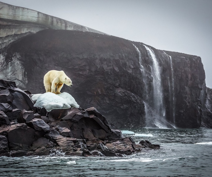 Gallery of Photography by Cory Richards - USA