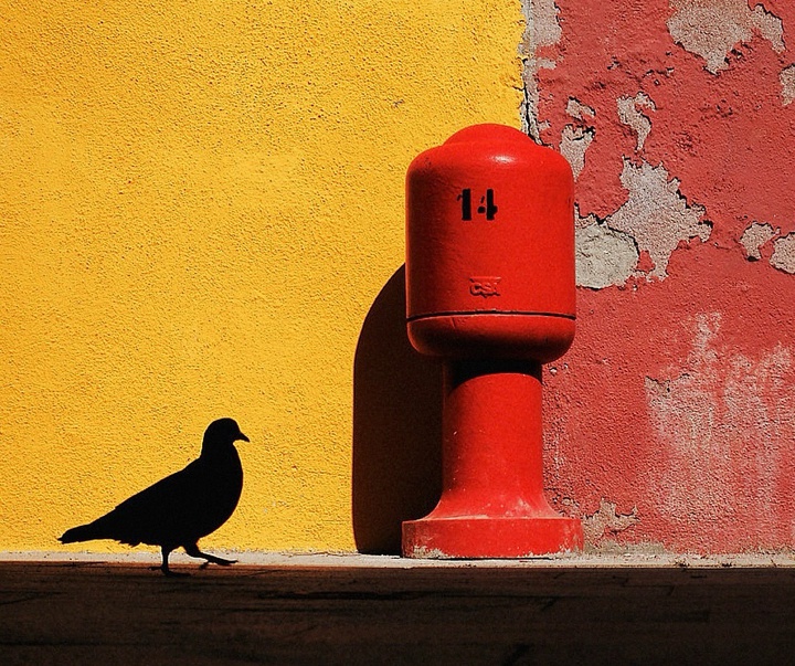 Gallery of Photography by Mirko Saviane - Italy