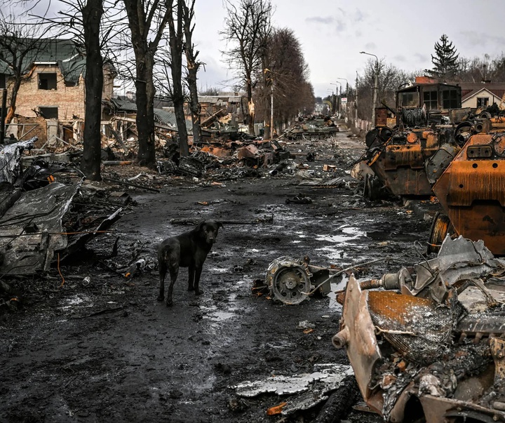 Gallery of War photography in Ukraine