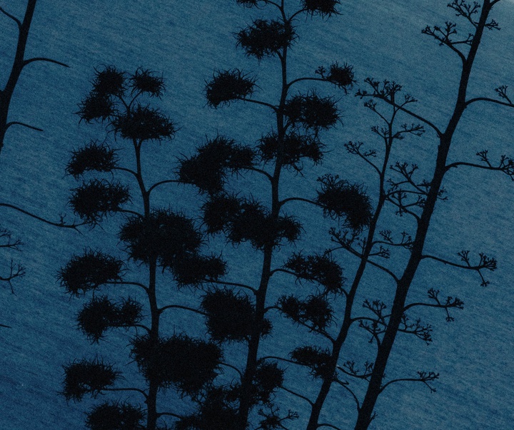 Gallery of Photography by Joe Clarke - UK