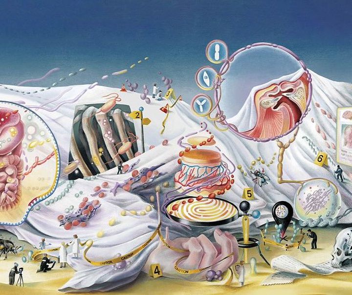 Gallery of Illustration by Ada Zejun Shen - USA