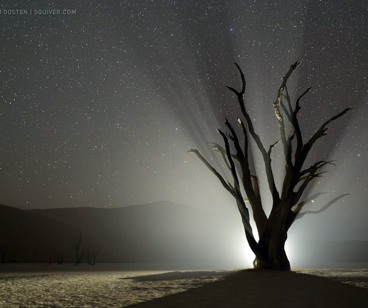 Gallery of Photography by Marsel van Oosten- Netherlands