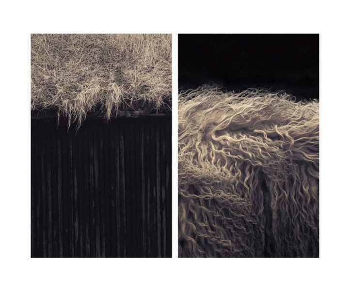 Gallery of Photography by Eva Chupikova - Slovakia