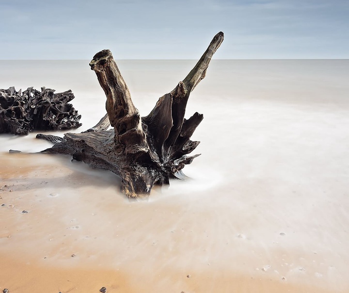Gallery of Photography by Emma Steele
