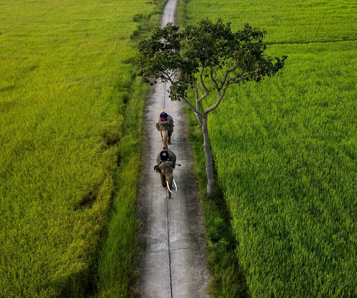 Gallery of Photography by Mahendra Bakle - India