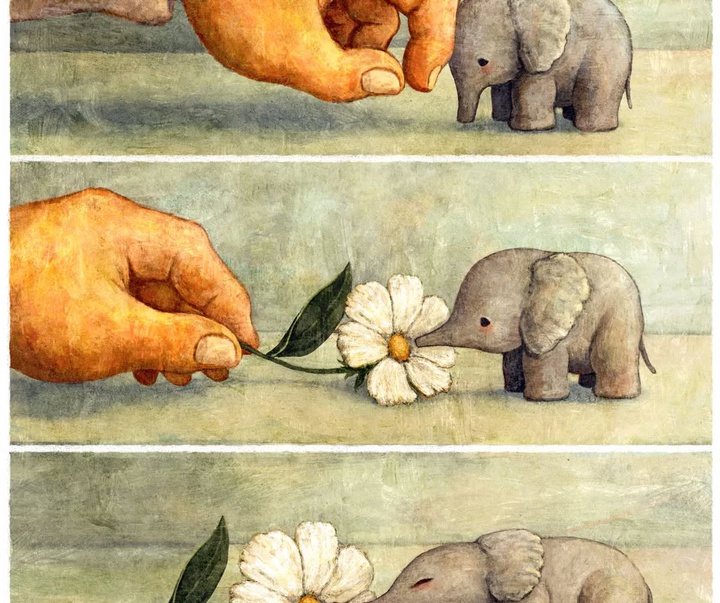 Gallery of Illustration by Pil Hwa - South Korea
