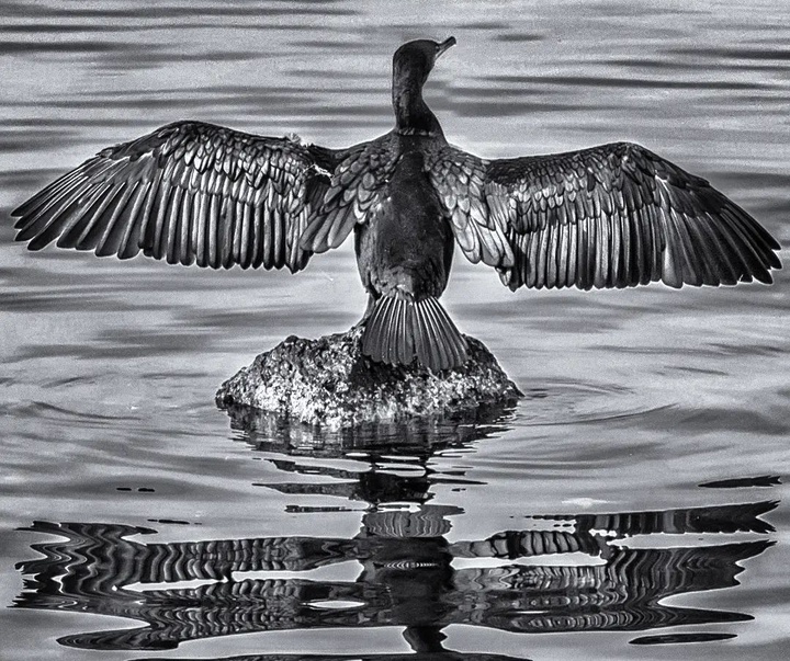 Gallery of Photos by Ahmet Muhtar Taskaya-Turkey