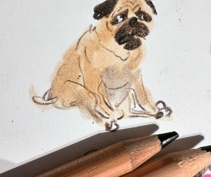 Gallery of Illustration by Jenny Bloomfield - UK