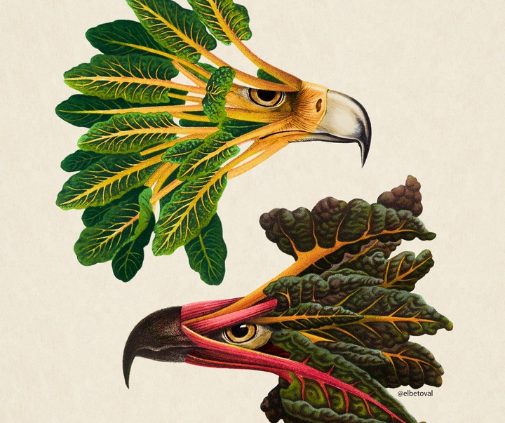 Gallery of Illustration by Beto Valencia - Ecuador
