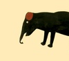 Gallery of painting by Bill Traylor - USA