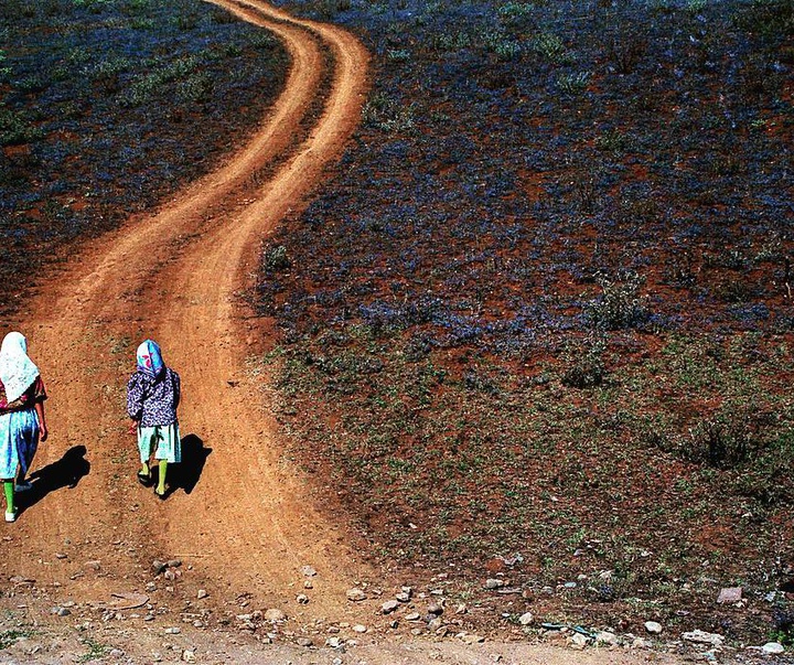 Gallery of Photos by Ali Ghalamsiah-Iran