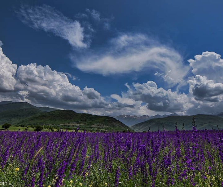 Gallery of Photography by Javad Jahanbin- Iran