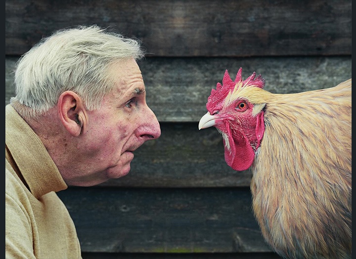 Gallery of Photography by david stewart