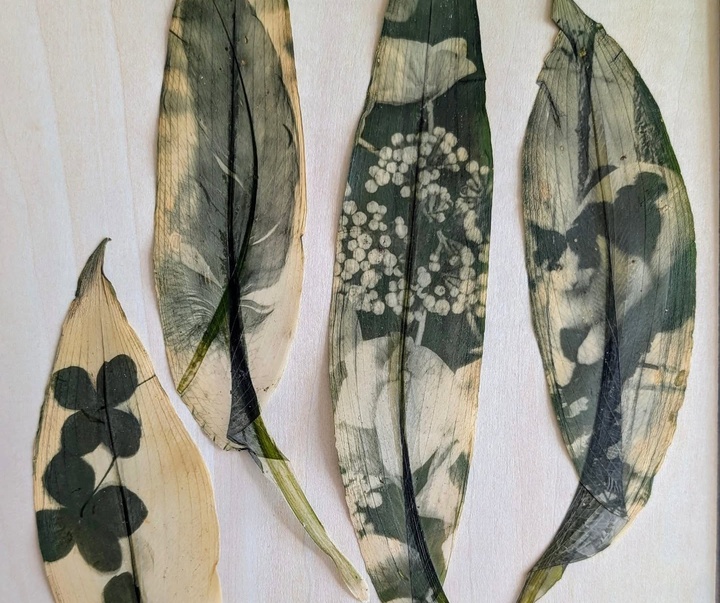 Gallery of Painting & Photography by Jane Constable - UK