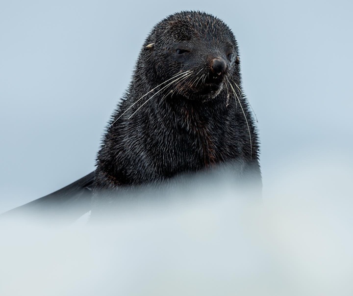 Gallery of Photography by Benjamin Hardman - Iceland