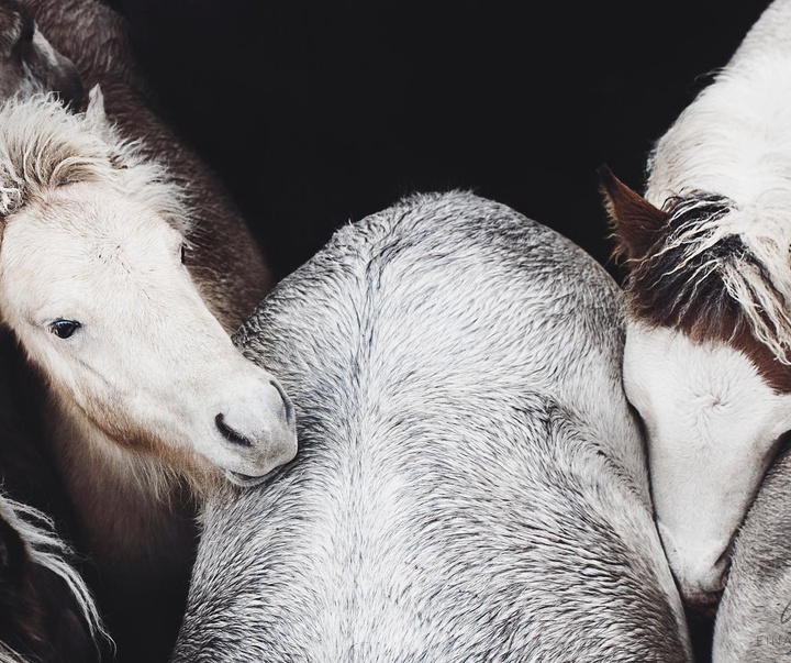 Gallery of Photography by Gigja Einars - Iceland
