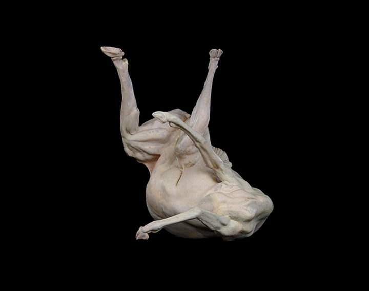 Gallery of Sculpture by Gino Lucas - Belgium