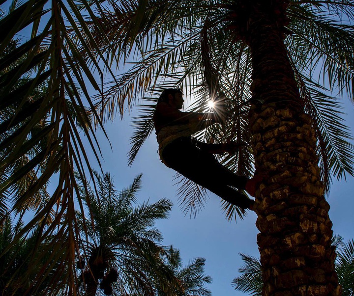 Gallery of Photo by Yasmin Hosseinnejad-Iran