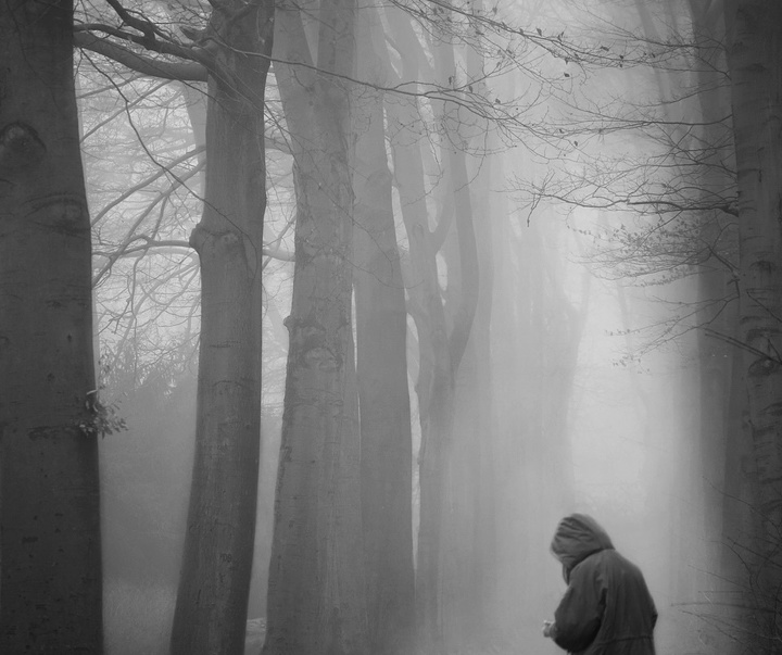 Gallery of Photography by Mania De Praeter - Belgium