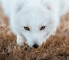 Gallery of Photography by Dani Guindo - Spain