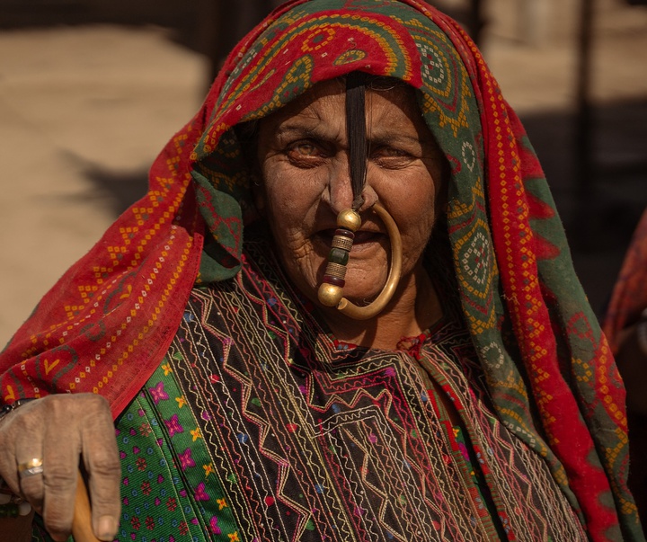 Gallery of Photography by Nishchay Bharati Jain - India