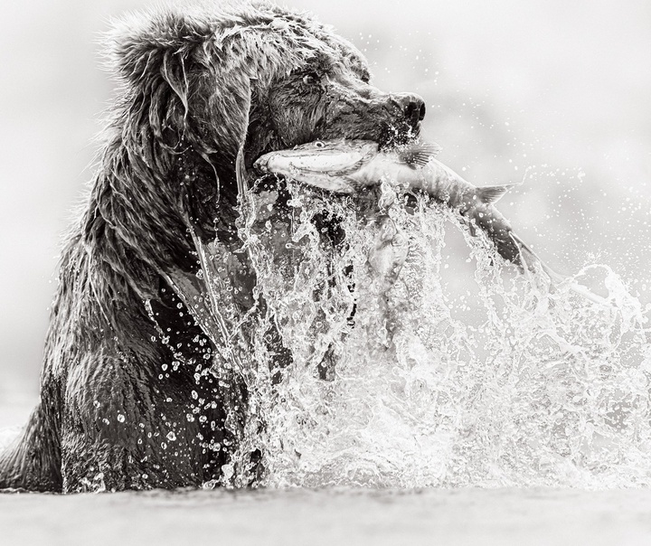 Drew Doggett