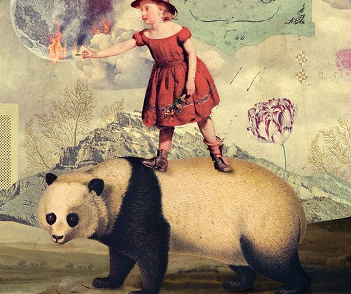 Gallery of Illustration by Eduardo Recife - Brazil