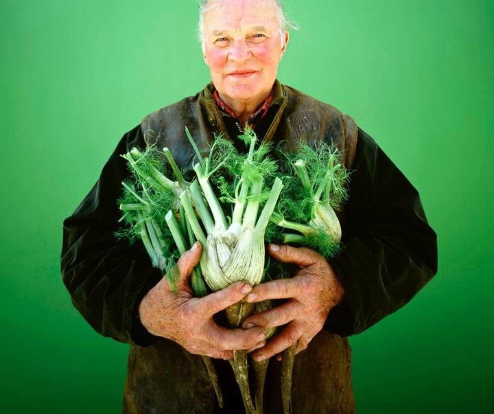 Gallery of Photography by david stewart