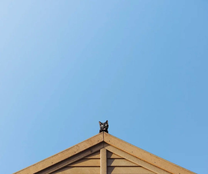 Gallery of Photography by Benjamin Wolf - USA