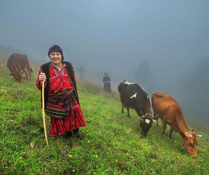 Gallery of Photos by Aygul Ozturk-Turkey