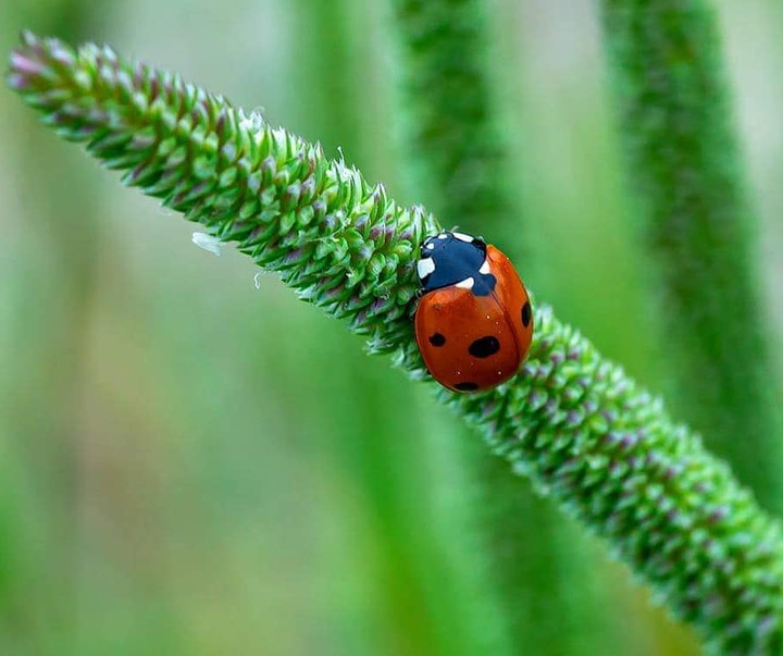 Gallery of photography by Dr.Aylin Yildirim - Turkey