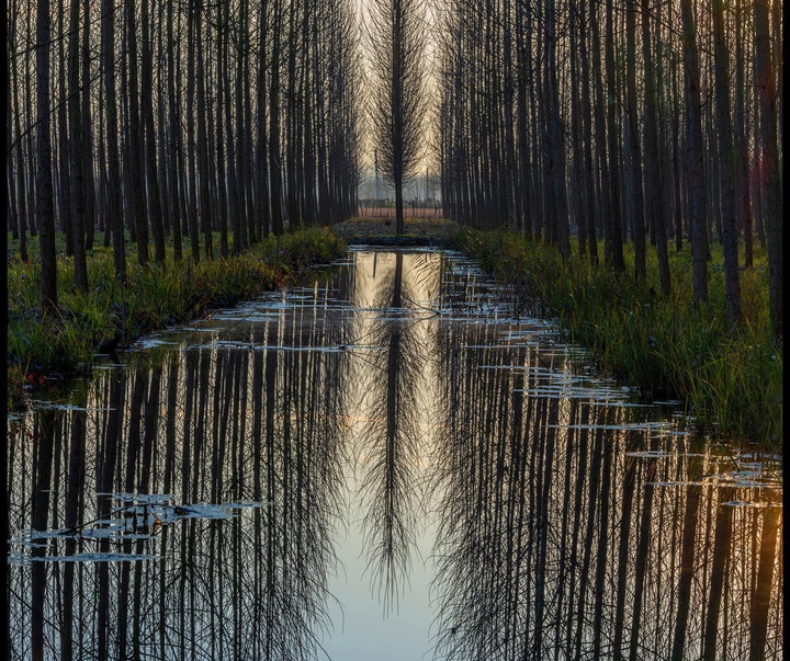 Gallery of photography by Sadegh Miri-Iran