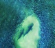 Gallery of Photography by Joanna Steidle - USA