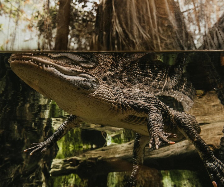 Gallery of Photography by Abbey Bratcher Parish - USA