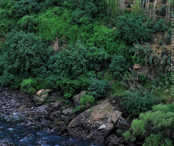 Gallery of photography by Nawzad Ghaderi - Iran