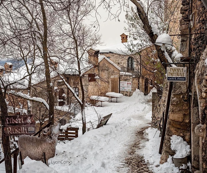 Gallery of Photography by Lyon Corso - Italy