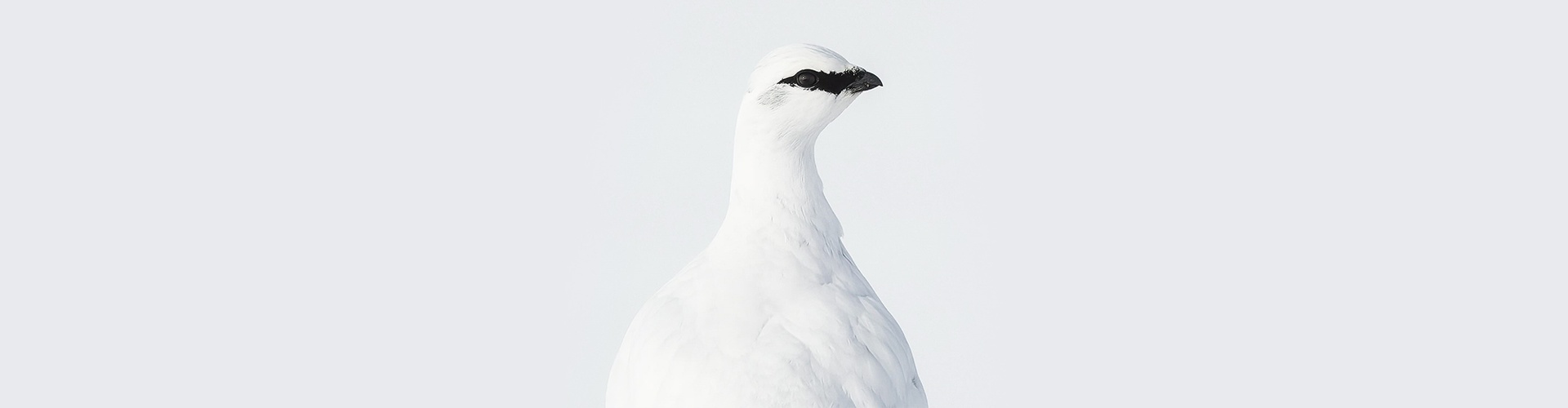 Gallery of Photography by Benjamin Hardman - Iceland