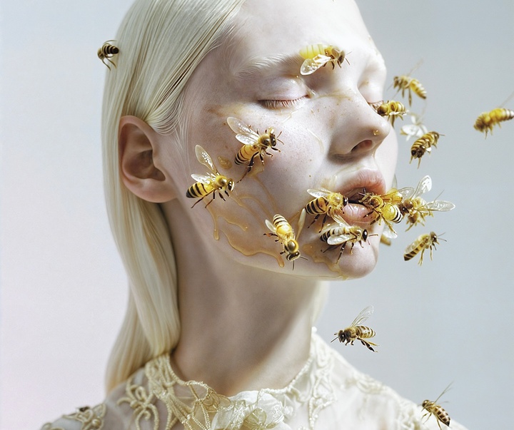 Gallery of Modern Art by Mira Nedyalkova - Bulgaria